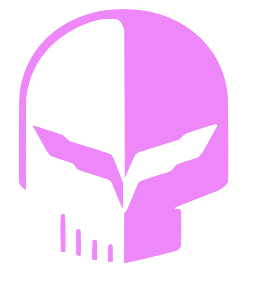 2 calcomanías de vinilo Jake Vette Flag Racing Stingray Skull Punisher pegatina de carrocería de coche Foto 1 de 1