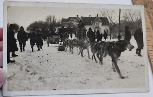 MOTO SLED de colección para perros con coche lateral - foto real - TARJETA POSTAL - anuncio #5295 - Imagen 1 de 8