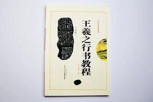 Pincel de escritura de tinta de caligrafía china libro de estudio tutorial Wang Xizhi Lantinxu - Imagen 1 de 6