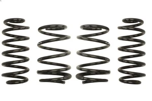 Suspension springs set EIBACH E10-15-022-01-22 for TT Roadster 1.8 2015-2018 - Picture 1 of 6
