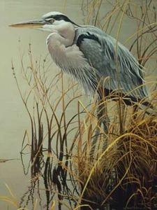 Cobble Hill Great Blue Heron 500 Piece Jigsaw Puzzle By Robert Bateman - Picture 1 of 4