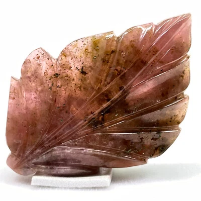 104 Cts Certified Natural Carved Tourmaline Leaf 55x39mm Bi Color Loose Gemstone - Image 1 of 4