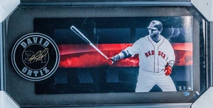 David Ortiz Autografiado Shadowbox Limited Metal 18x36 Grandes Ligas Béisbol Certificado de Autenticidad - Imagen 1 de 7