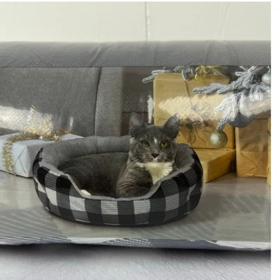 Vibrant Life Round Cuddler Small Dog / Cat Bed Black and White Plaid 19"x6", NIB - Image 1 of 4