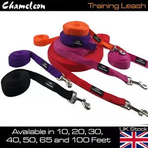 Dog Training leash lead strong Dog Puppy 10,20,30,40,50,65 80,100ft length - Picture 1 of 13