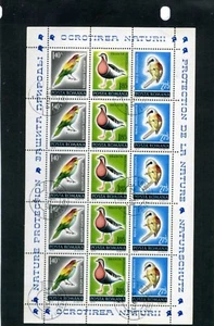 BIRDS OF ROMANIA,->>Merops Apiaster,- Branta Ruficollis,-Remiz Pendulinus. S/S  - Picture 1 of 2