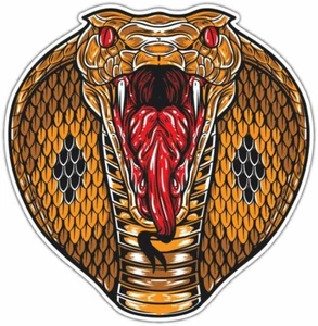 "Calcomanía pegatina para ventana parachoques coche serpiente King Cobra Venom 4,6" - Imagen 1 de 1