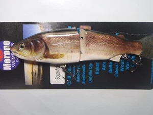 Morone Swimbaits 2 Sacramento River Squawfish dorado brillante pesca deslizamiento lubina - Imagen 1 de 5