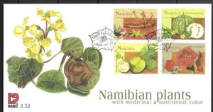 NAMIBIA, 2005 PLANTS WITH MEDICINAL VALUE IN  NAMIBIA ILLUSTRATED FDC, - Picture 1 of 1