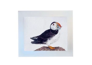 Original Art Of A Puffin Back from fishing, British Birds Wildlife Art - Picture 1 of 4