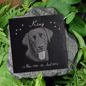 Labrador lapide per animali lapide commemorativa cane-034 ► incisione testo ◄ 20 x 20 cm - Foto 1 di 2