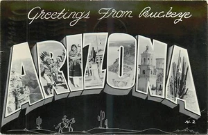 1950s Buckeye Arizona Large Letters Multi View Cook Postcard 25-1106 - Picture 1 of 2