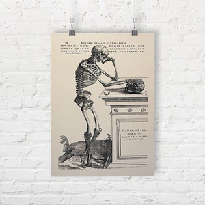 Andreas Vesalius Human Anatomy Print Skeleton Contemplating a Skull Print/Poster - Picture 1 of 1