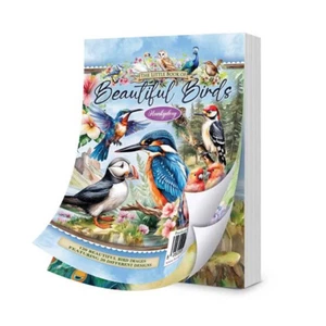 Hunkydory - The Little Book of Beautiful Birds - LBK338 - rrp £9.99 - Picture 1 of 2
