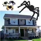 Party Decoration Haunted House Prop Halloween Spider Big Spider Black Giants
