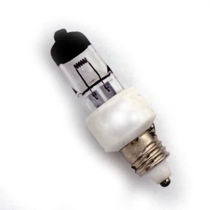 24V 40W E11 Schwarz Top Tip Shadowless Halogen Profi Glühbirne - Bild 1 von 1