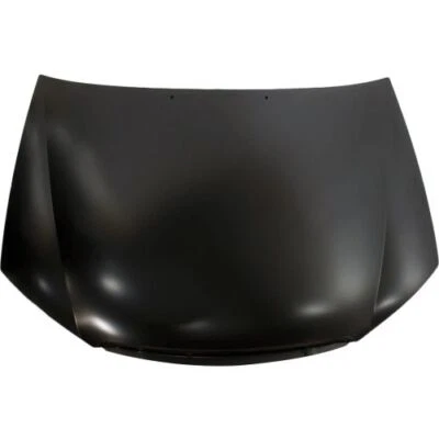 Sherman 3241-28-0 Hood Panel Assembly For 2004-2009 Kia Spectra NEW - Image 1 of 3