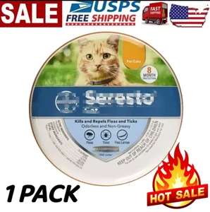 Collar Gato para Gatos - 8 Meses Continuos Protección ENVÍO GRATUITO - Imagen 1 de 3