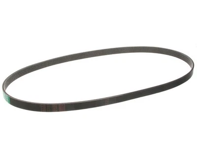 Cinturón primario multi costilla para Audi S4 2004-2009 12973PTRN 2008 2007 2005 2006 Foto 1 de 2