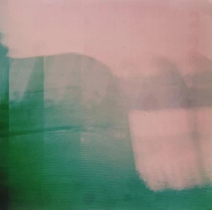 Warma On Vinyl Record By Darlings Brand New Vinyl Record LP - Imagen 1 de 3