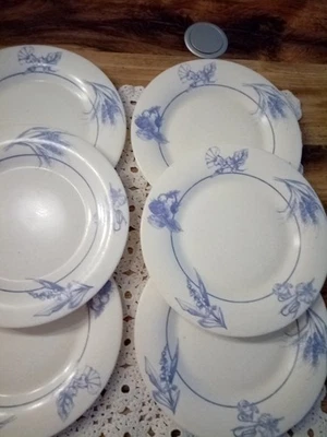 6 Assiettes Plates 25 Cm Arcopal France Vintage - Photo 1/4