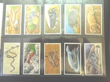 1985 Brooke Bond Tea INCREDIBLE CREATURES animals  Trading set  50 cards Walton