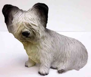 SKYE TERRIER, SEDUTA, CONCETTI DI CONVERSAZIONE, ARTICOLO DF45 - Foto 1 di 5