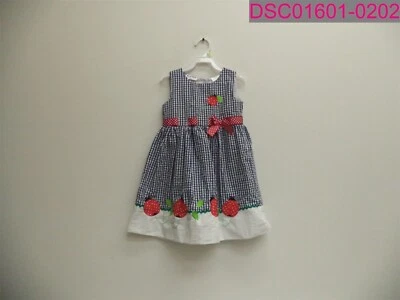 Vestido Blueberi Ladybug Niñas 4T Azul/Blanco Cuadros Sin Mangas Cinta Corbata Foto 1 de 4