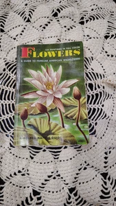 Vintage 1950 Book Golden Press Flowers A Guide To Familiar American Wildflowers - Foto 1 di 7