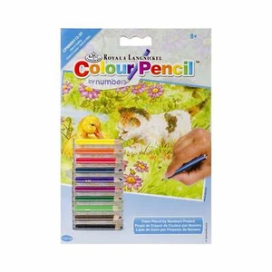 Mini lápiz de color Kitten and Duckling por número - 5x7 pulgadas (norcpnmin1133t) - Imagen 1 de 1