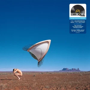 Cranberries - Bury The Hatchet (Complete Sessions) Vinyl LP - New*Sealed RSD - Picture 1 of 1
