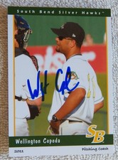 Arizona Diamondbacks Wellington Cepeda Signed 2011 South Bend Silver Hawks Card