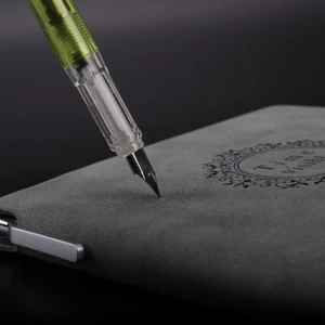Transparent Plastic Fountain Pen Extra Fine Nib/Fine Nib 5 Colors Wing Sung 301 - Picture 1 of 18