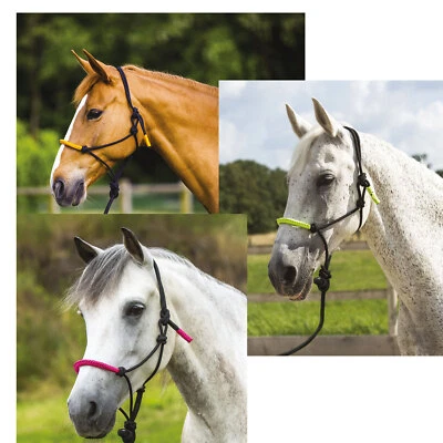 Knotenhalfter „Fun colour“  Halfter + Strick im Set - Bild 1 von 4