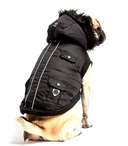 silverpaw dog coat