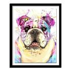 Diamond Painting Bulldog Face Animal Themed Colorful Designs Embroidery Displays