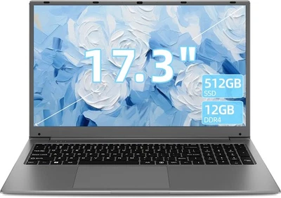 SGIN 17.3" Laptop Intel N5095 12GB DDR4 512GB SSD Dual-Core Windows 11 8000mAh
