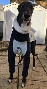 Greyhound Snowman Fleece 30”, Whippet Jumper, Galgos Teddy Christmas Pyjamas - Picture 1 of 12