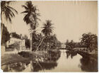 Photo Albuminé Fort-de-France Martinique Vers 1880/90
