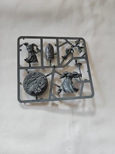 Warhammer AoS Stormcast Eternals Sequitors - Bild 1 von 2