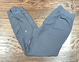 NEW Lululemon Adapted State High-Rise Jogger Regular Solar Grey Size 6 - Picture 1 of 12