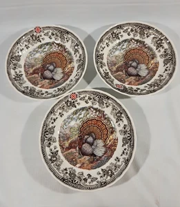 3 Queen's Majestic Beauty Truthahn Servieren Suppe Salat Schüssel 8,75" England - Bild 1 von 12