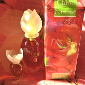 Chloé Damen Parfüme Narcisse Eau de Toilette online kaufen | eBay