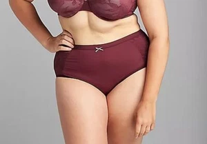 Lane Bryant Cacique No Show Full Brief Panty With Lace 18/20 - Picture 1 of 4
