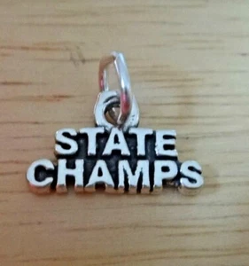 Sterling Silver 10x17mm State Champs Charm! - Picture 1 of 3