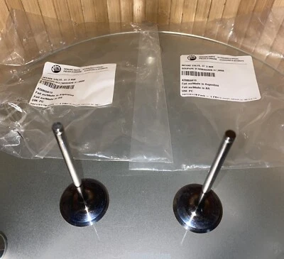 Nueva válvula de admisión original Ski-Doo / Renegade, Expedition # 420855013 === 2 piezas Foto 1 de 3