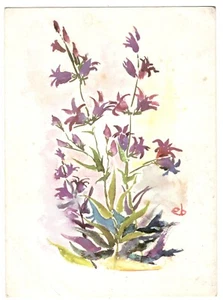 Blumen E. Baumgartner alte illustrierte Postkarte Mund Fußmalerei Israel - Bild 1 von 2