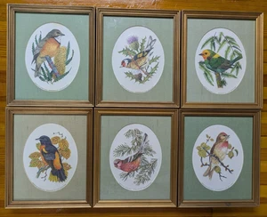 The Franklin Gallery Songbirds of the World Set di 6 stampe artistiche incorniciate Linnet - Foto 1 di 8