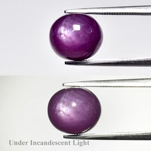 💎 7.96ct Oval Cabochon Natural Purplish Red 6 Ray Star Ruby - Unheated Gemstone - Picture 1 of 6