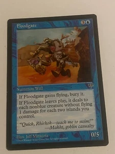 Floodgate - Magic the Gathering MTG Mirage Single Card - Picture 1 of 2